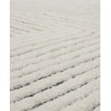 Area Rug - 8ft x 10ft Dimensions