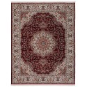 Area Rug - 9 by 12 Feet Dimensions