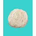 Rose Decorative Pillow, 16